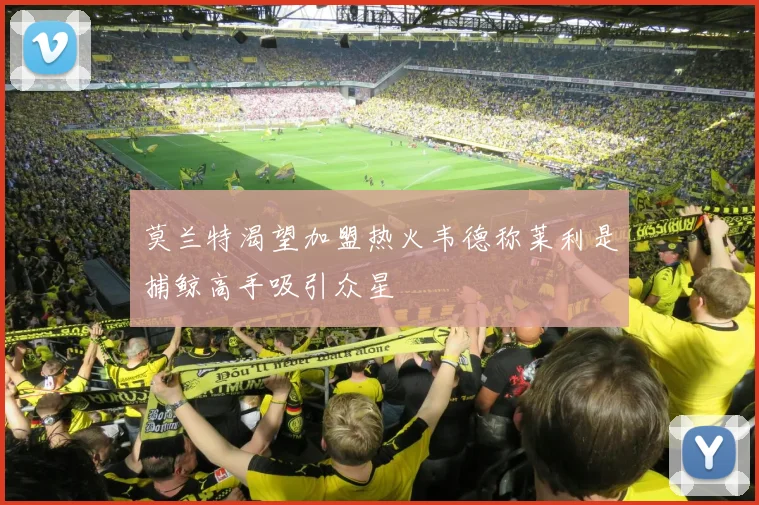 莫兰特渴望加盟热火韦德称莱利是捕鲸高手吸引众星